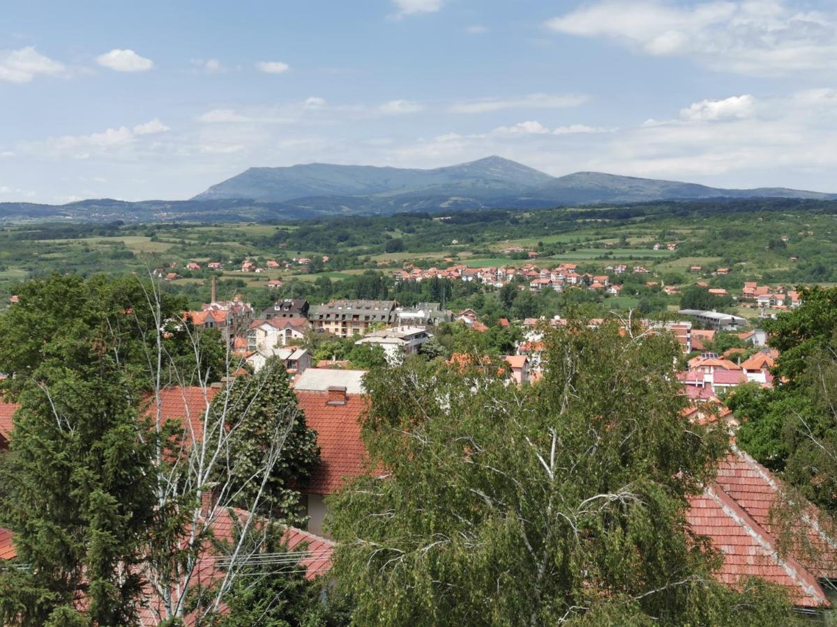 Vila Breza Soko Banja Εξωτερικό φωτογραφία