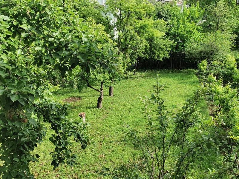 Vila Breza Soko Banja Εξωτερικό φωτογραφία