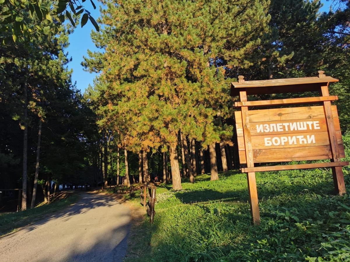 Vila Breza Soko Banja Εξωτερικό φωτογραφία