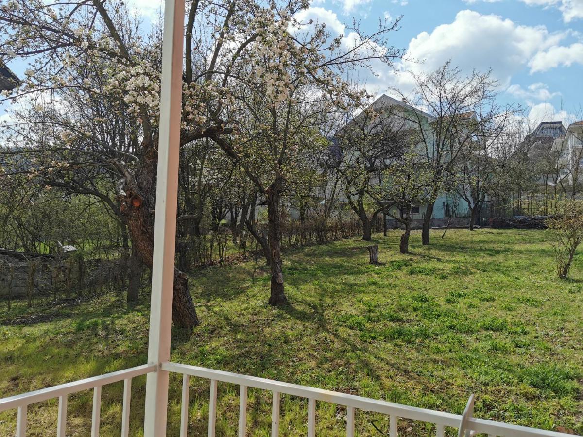 Vila Breza Soko Banja Εξωτερικό φωτογραφία