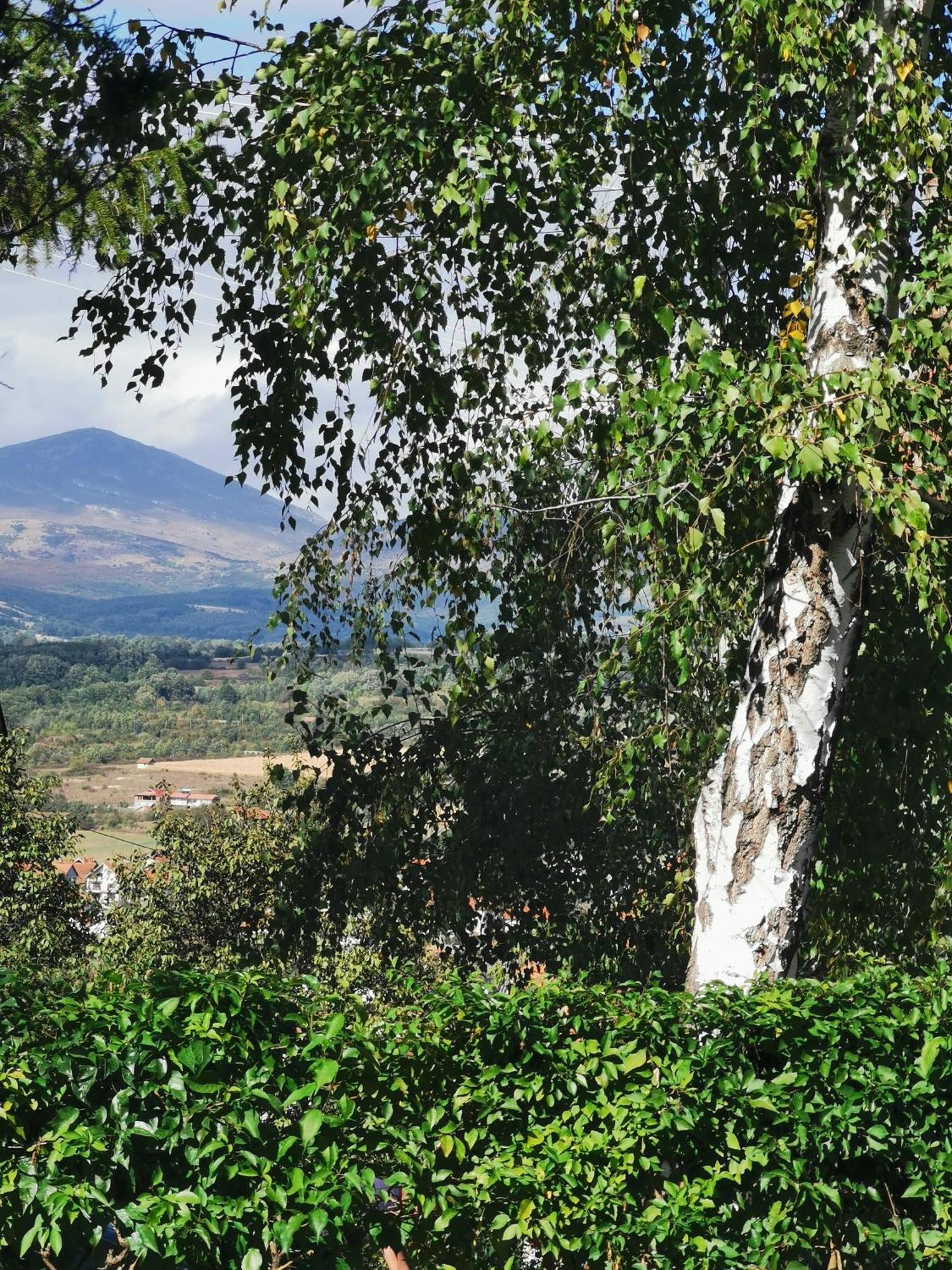 Vila Breza Soko Banja Δωμάτιο φωτογραφία